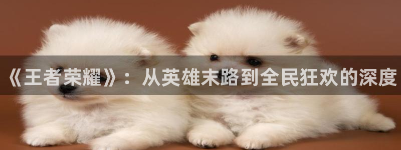 鼎点娱乐咨询