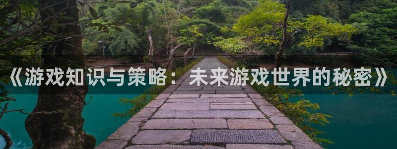 鼎点娱乐平台登录：《游戏知识与策略：未来游戏世界的秘密》