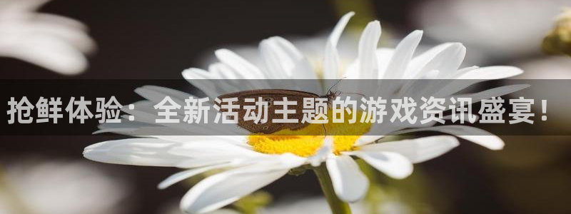 鼎点娱乐平台官网登录：抢鲜体验：全新活动主题的游戏资讯盛宴！