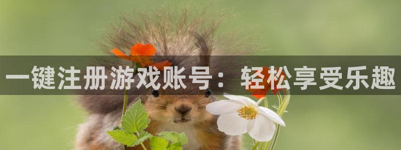 鼎点娱乐的意思：一键注册游戏账号：轻松享受乐趣
