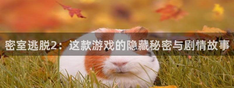 鼎点娱乐主管：密室逃脱2：这款游戏的隐藏秘密与剧情故事