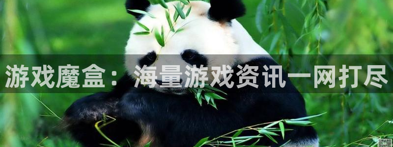 鼎点娱乐4开户：游戏魔盒：海量游戏资讯一网打尽