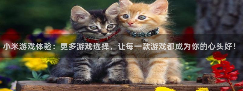 鼎点娱乐注册网站：小米游戏体验：更多游戏选择，让每一款游戏都