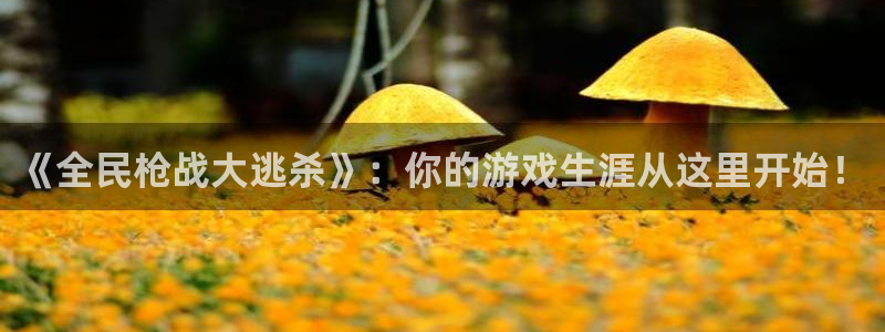 手机版鼎点娱乐客户端下载：《全民枪战大逃杀》：你的游戏生涯从