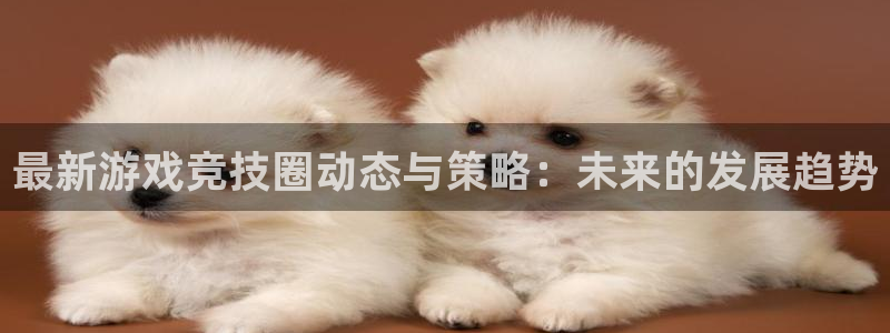 鼎点娱乐注册平台：最新游戏竞技圈动态与策略：未来的发展趋势