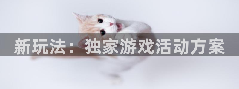 鼎点娱乐4开户：新玩法：独家游戏活动方案