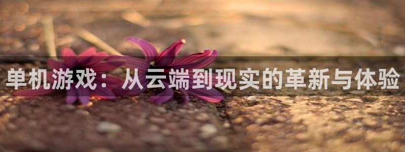 鼎点娱乐平台登录线路：单机游戏：从云端到现实的革新与体验