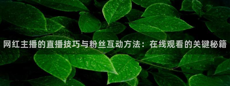 柠檬直播足球免费：网红主播的直播技巧与粉丝互动方法：在线观看的关键秘籍