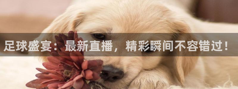 柠檬直播足球赛事：足球盛宴：最新直播，精彩瞬间不容错过！