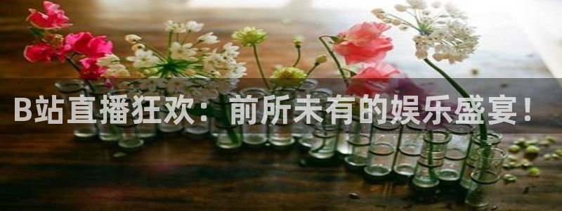 柠檬直播平台：B站直播狂欢：前所未有的娱乐盛宴！