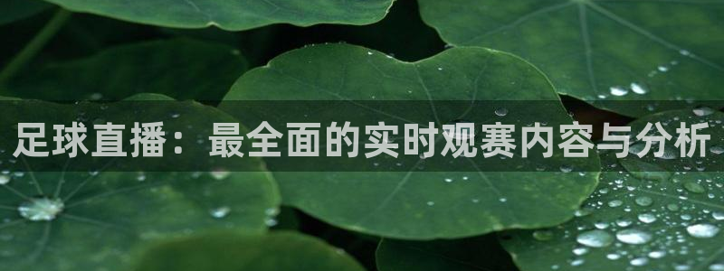 柠檬体育在线直播nba：足球直播：最全面的实时观赛内容与分析
