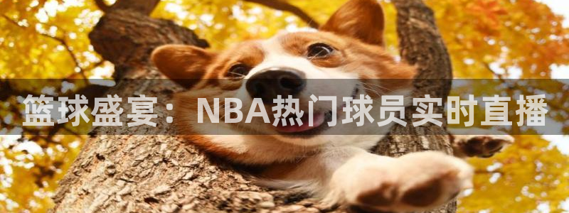 柠檬足球直播免费观看直播：篮球盛宴：NBA热门球员实时直播