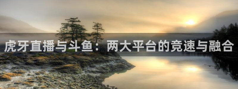 nba柠檬直播：虎牙直播与斗鱼：两大平台的竞速与融合