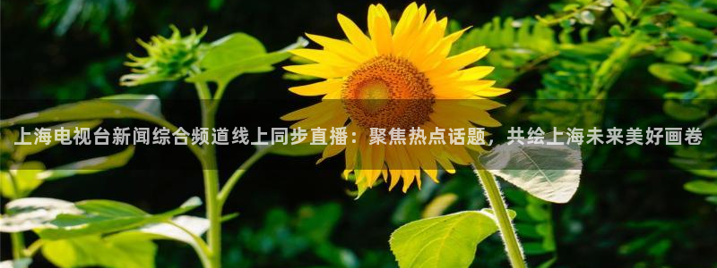 nba直播柠檬：上海电视台新闻综合频道线上同步直播：聚焦热点话题，共绘上海未来美好画卷