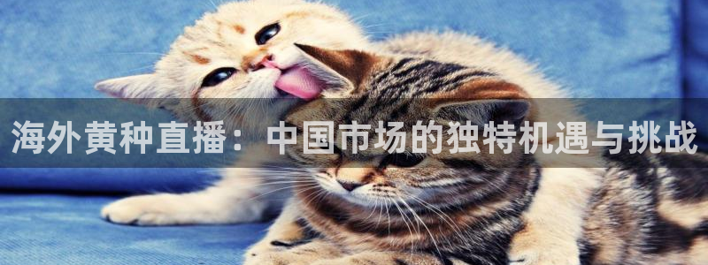 柠檬体育直播网址：海外黄种直播：中国市场的独特机遇与挑战