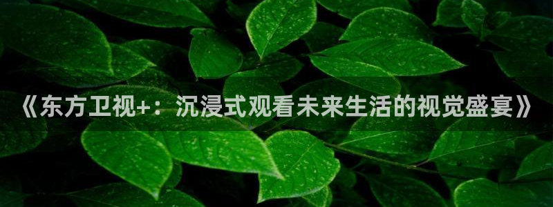 柠檬体育比赛直播：《东方卫视+：沉浸式观看未来生活的视觉盛宴》
