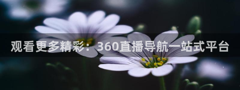 柠檬体育直播篮球：观看更多精彩：360直播导航一站式平台
