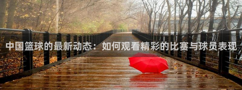 柠檬直播nba篮球：中国篮球的最新动态：如何观看精彩的比赛与球员表现