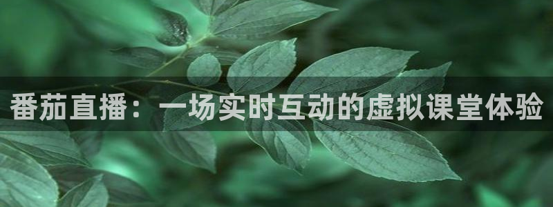 柠檬体育平台：番茄直播：一场实时互动的虚拟课堂体验