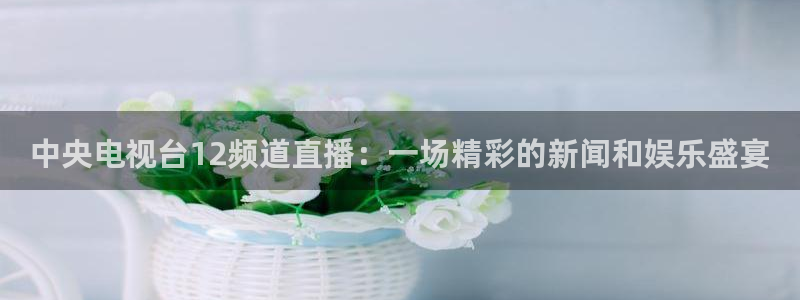 柠檬体育足球视频直播：中央电视台12频道直播：一场精彩的新闻和娱乐盛宴